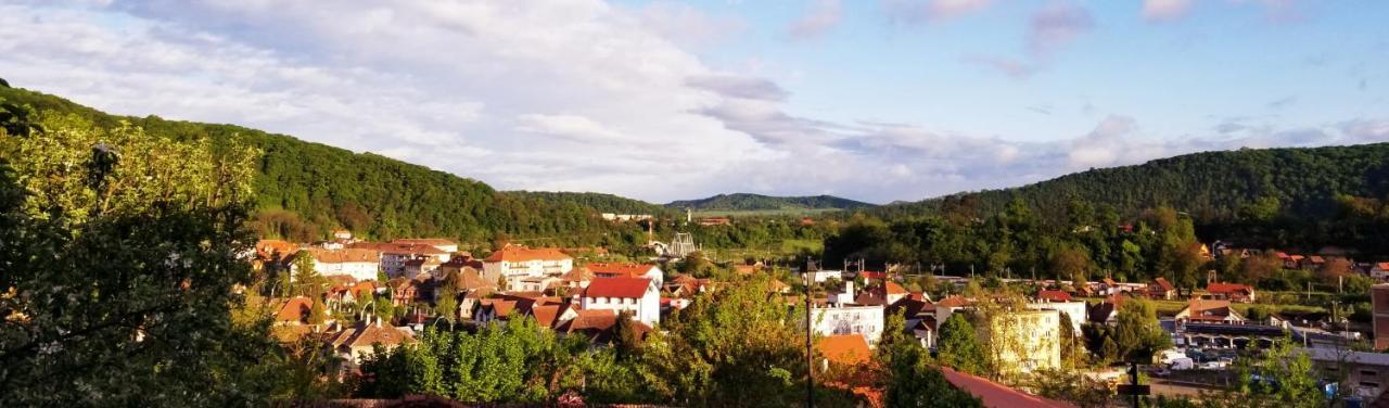 Pensiunea Lelila Inn Sighişoara Exteriér fotografie
