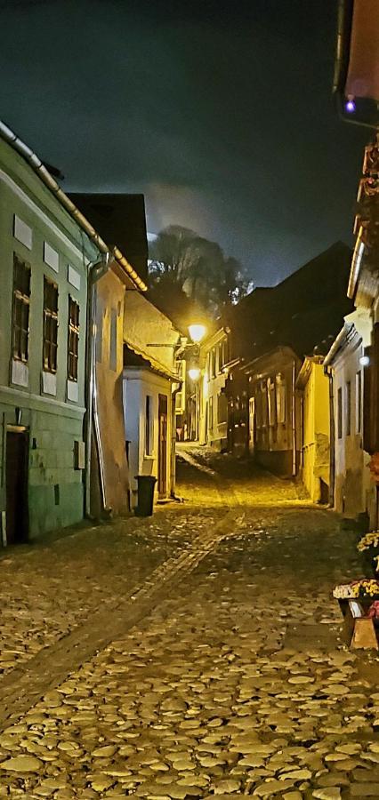 Pensiunea Lelila Inn Sighişoara Exteriér fotografie