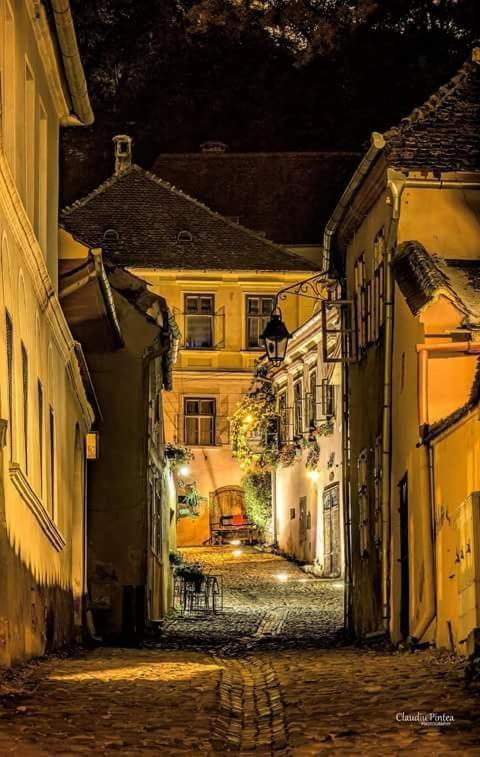 Pensiunea Lelila Inn Sighişoara Exteriér fotografie