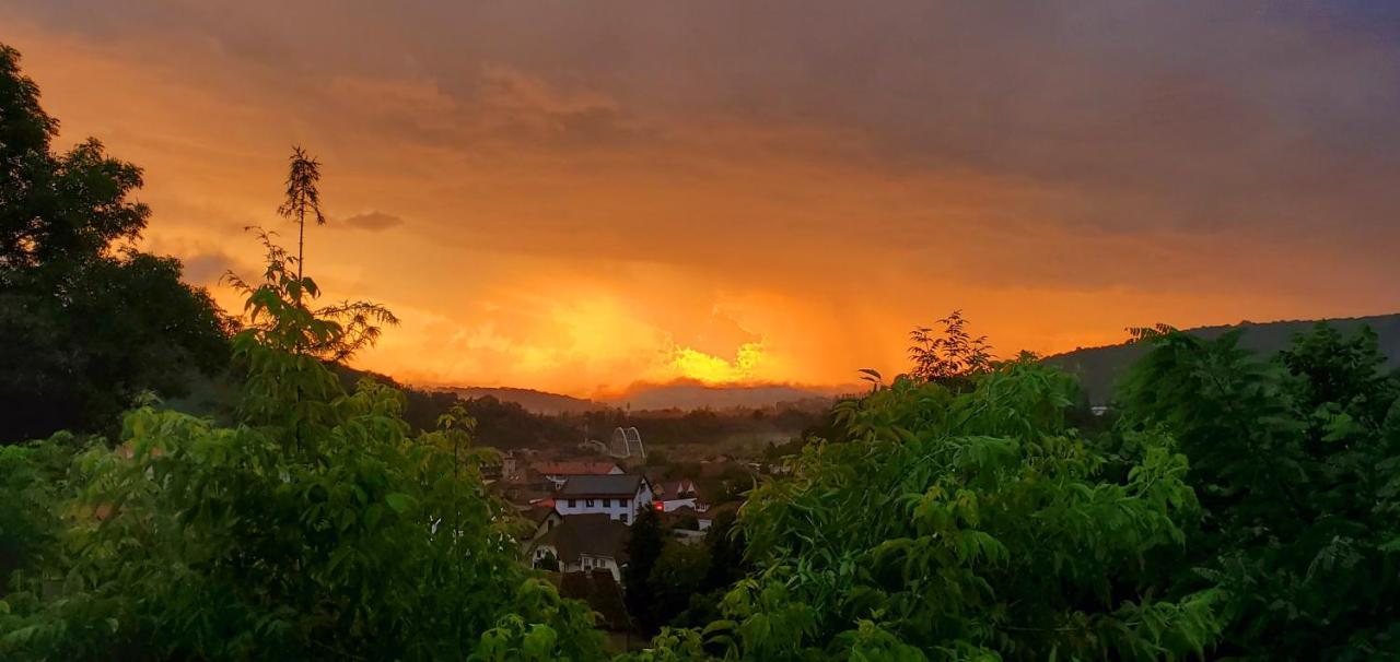 Pensiunea Lelila Inn Sighişoara Exteriér fotografie