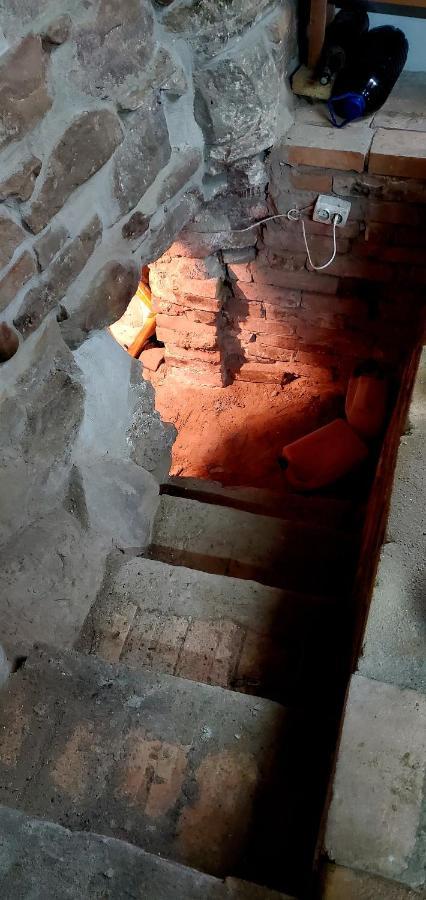 Pensiunea Lelila Inn Sighişoara Exteriér fotografie