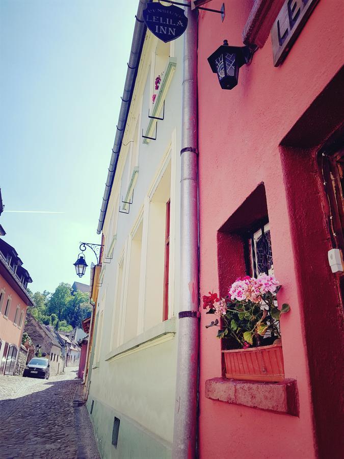 Pensiunea Lelila Inn Sighişoara Exteriér fotografie